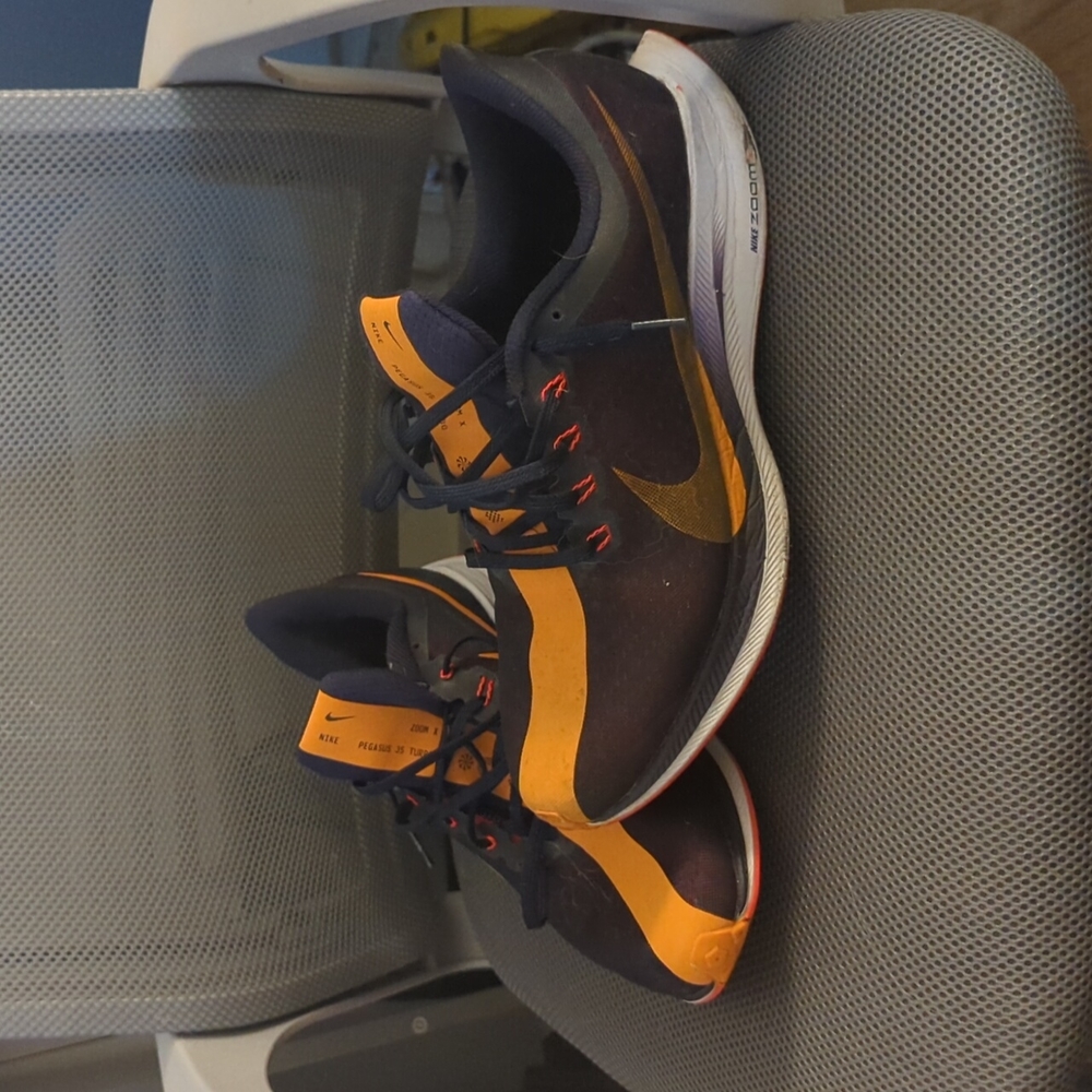 Nike Zoom X Pegasus 35